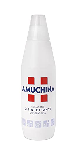AMUCHINA - Desinfectante concentrado 1000