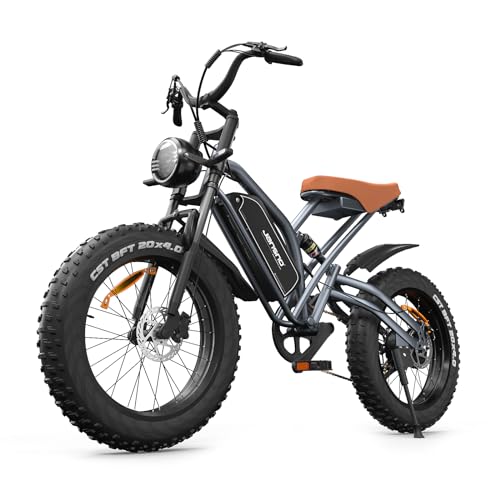 JANSNO Bicicleta Eléctrica 20' x 4.0 Fat Tire, Shimano 7vel, Frenos de Disco mecánicos Delanteros y Traseros, Bicicleta eléctrica para Adultos, batería extraíble de 48V 14Ah