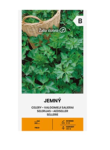 Zalia stotele | APIO - Semillas de JEMNÝ | Semillas de Hortalizas | semillas de apio | semillas de plantas | semillas de jardín | 1 paquete