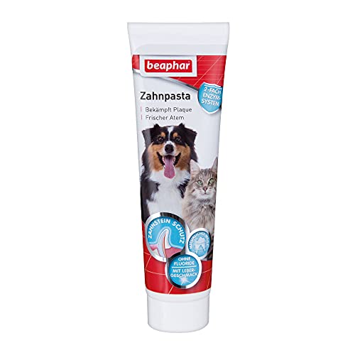 Beaphar Pasta de dientes - para perros y gatos - con sabor a hígado - 100 g