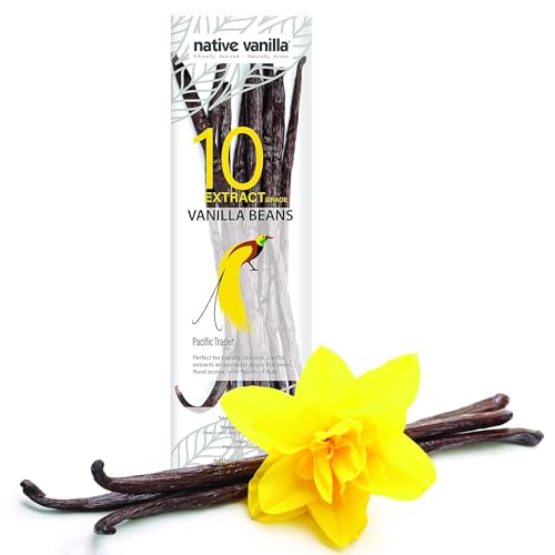 Native Vanilla - Vainas frescas de vainilla tahitiana para extractos - Semillas de grado B al por mayor - 10 vainas