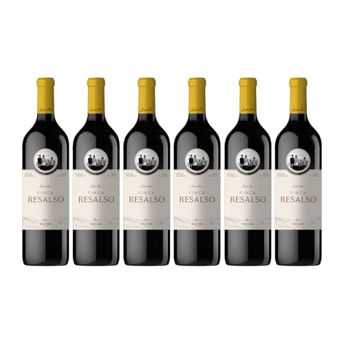 Emilio Moro - Finca Resalso, Vino Tinto Español, Tempranillo Joven y Fresco, D.O. Ribera del Duero - Pack 6 Botellas x 750 ml