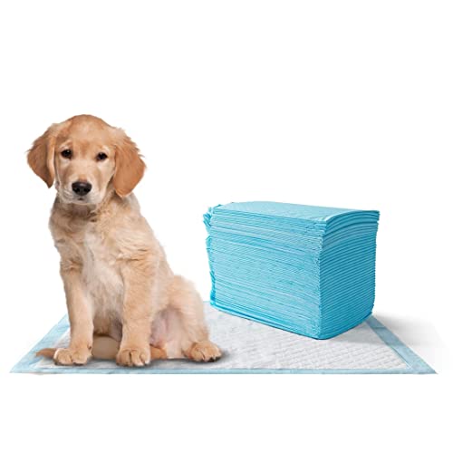 MISTER ZOO – Empapadores para Perros con Superficie de Secado rápido, Almohadillas absorbentes para adiestramiento de Mascotas y Cachorros a Prueba de Fugas. Tamaño M (60 x 45 cm)