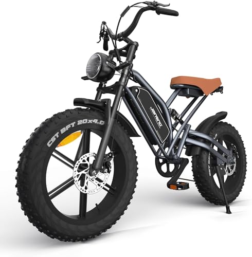 JANSNO Bicicleta Eléctrica 20' x 4.0 Fat Tire, Sistema de transmisión de 7 velocidades, Frenos de disco mecánicos delanteros y traseros, Bicicleta eléctrica para Adultos, batería extraíble de 48V 14Ah