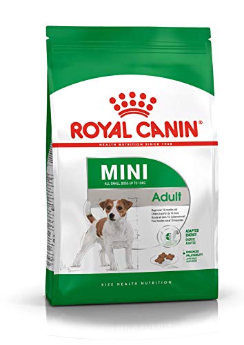 Royal Canin Mini Adult | 2 kg | Alimento Completo para Perros de Razas pequeñas | Ácidos grasos Omega-3 para la Piel y el Pelaje | Contenido energético Adaptado y tamaño de croqueta Ajustado