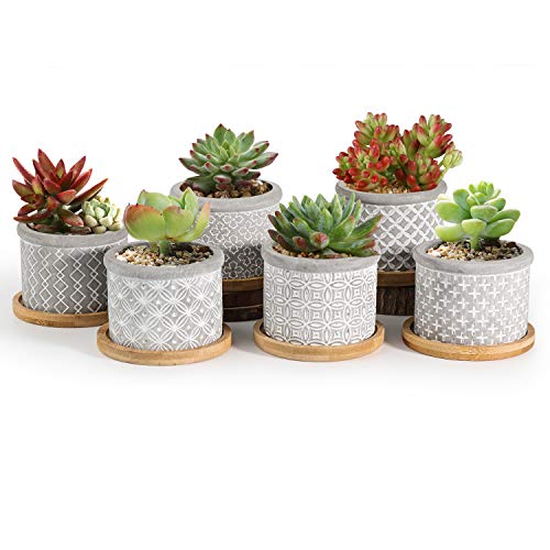 T4U 6CM Macetas para Cactus de Cemento con Plato de Paquete de 6, Mini Maceteros Pequeños para Suculento Plantas Casa y Jardin Boda Decorativos Interior
