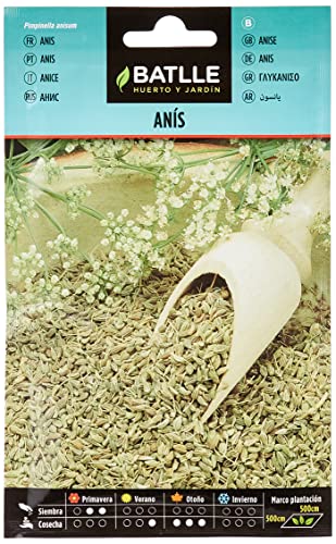 Semillas Batlle Anis - Pimpinela anisum