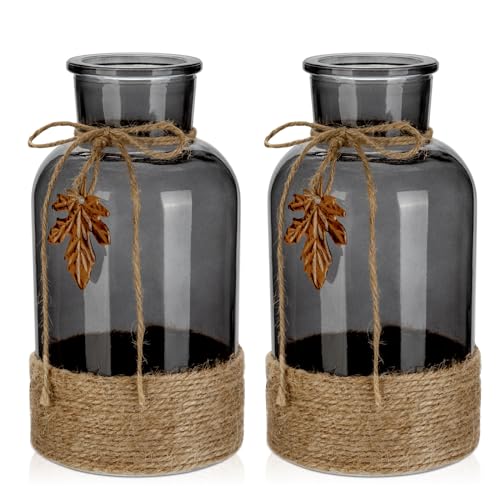 Paquete de 2 jarrones de vidrio grandes con cuerda de yute, jarrones de flores gris oscuro, tarro de vidrio para decoración del hogar y la cocina