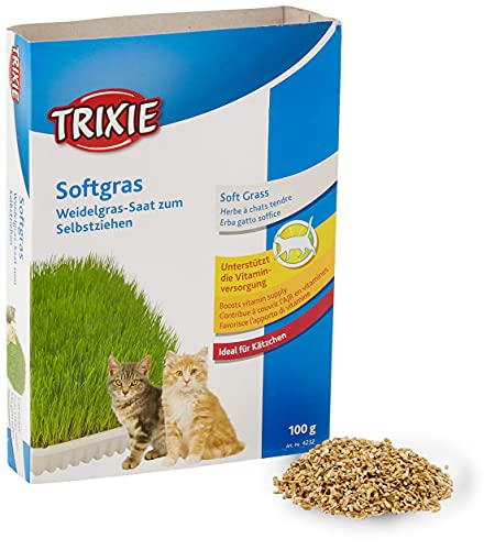 Trixie Bandeja Bio Hierba para Gatos, Aprox.100 g