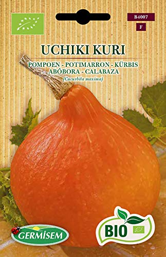 Germisem Orgánica Uchiki Kuri Semillas de Calabaza 3 g (ECBIO4007)