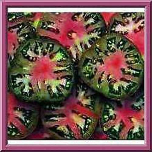 Las semillas de tomate Hombre del Mar Negro! Tomates grandes sustancioso!