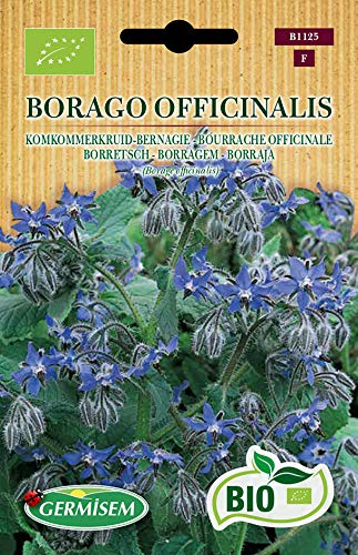 Germisem Orgánica Borago Officinalis Semillas de Borraja 1.5 g