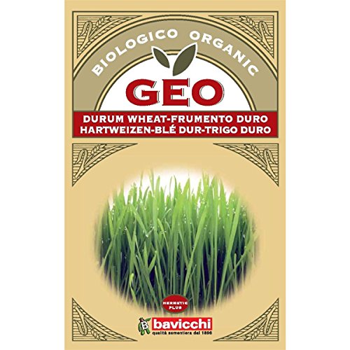 Geo Trigo Duro Semillas para germinar, Marrón, 12.7x0.7x20 cm