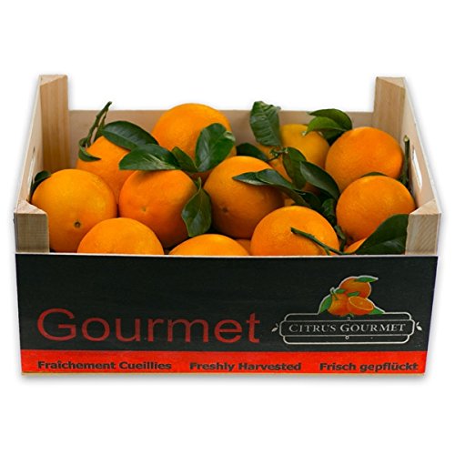 CITRUSGOURMET | Caja de Naranjas Valencianas de Zumo | Naranjas recien recolectadas | Fruta fresca naranjas de valencia (8)