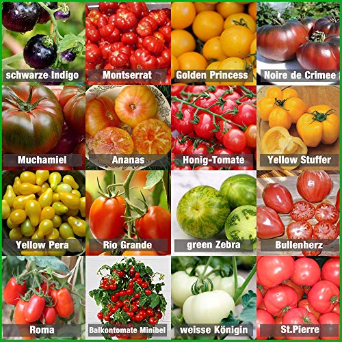 Set de Semillas de Tomate 16 x 10 semillas Tomate Mezcla 100% natural de semillas recogidas a mano de Portugal, variedades raras y antiguas, semillas con alto índice de germinación, jardín, balcón