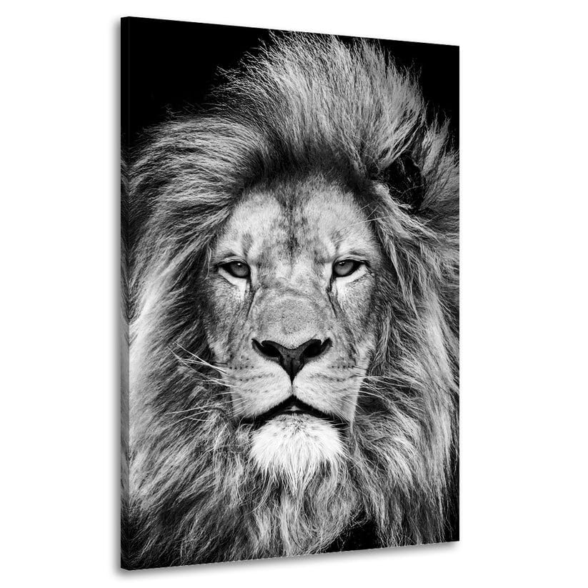 Artedinoi - Cuadro moderno en lienzo decorativo hermoso león blanco y negro cabeza, animales africanos decoración de habitaciones y paredes Salón Dormitorio XXL grande