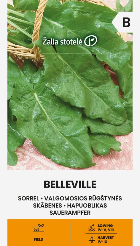 Zalia stotele | SEMILLAS DE ACEDER - BELLEVILLE | Semillas de Hortalizas | semillas de acedera | semillas de plantas | semillas de jardín | 1 paquete