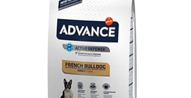 Mejor Regalo Bulldog Frances por No Poder Atender