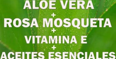 Aloe Vera y Rosa Mosqueta en Mercadona | Opiniones y Precios en 2023