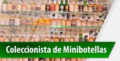 Mini Botellas Alcohol en Mercadona | Opiniones y Precios en 2022