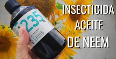 Aceite de Neem Insecticida en Mercadona | Opiniones y Precios en 2023