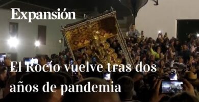 Virgen Del Rocio en Mercadona | Opiniones y Precios en 2022