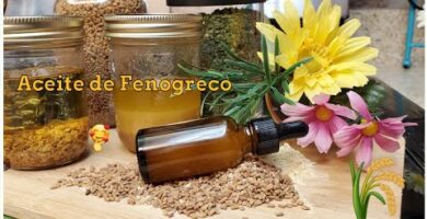 Aceite de Fenogreco en Mercadona | Opiniones y Precios en 2022