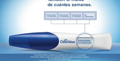 Clearblue en Mercadona | Opiniones y Precios en 2022