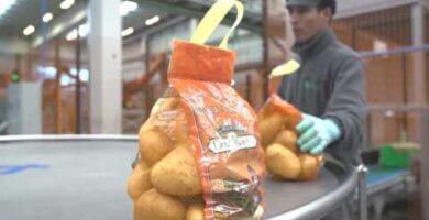 Patatas Hijolusa en Mercadona | Opiniones y Precios en 2023