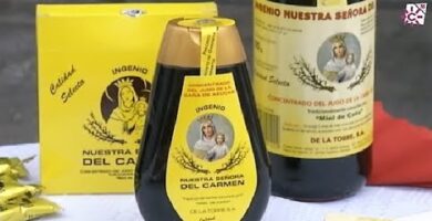 Miel de Caña en Mercadona | Opiniones y Precios en 2023
