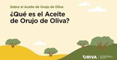 Aceite Orujo en Mercadona | Opiniones y Precios en 2022