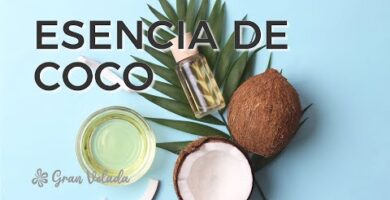 Esencia de Coco en Mercadona | Opiniones y Precios en 2022