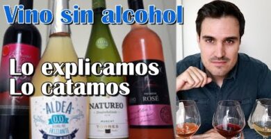 Vino Blanco sin Alcohol en Mercadona | Opiniones y Precios en 2022