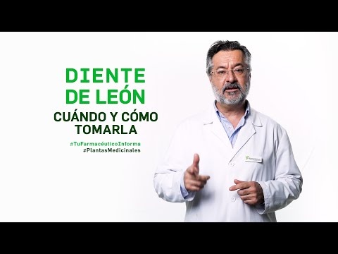 Diente de Leon Infusion en Mercadona | Opiniones y Precios en 2023